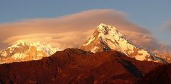 Annapurna im Abendlicht