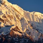 Annapurna South (Sonnenaufgang)