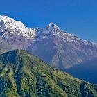 Annapurna Track