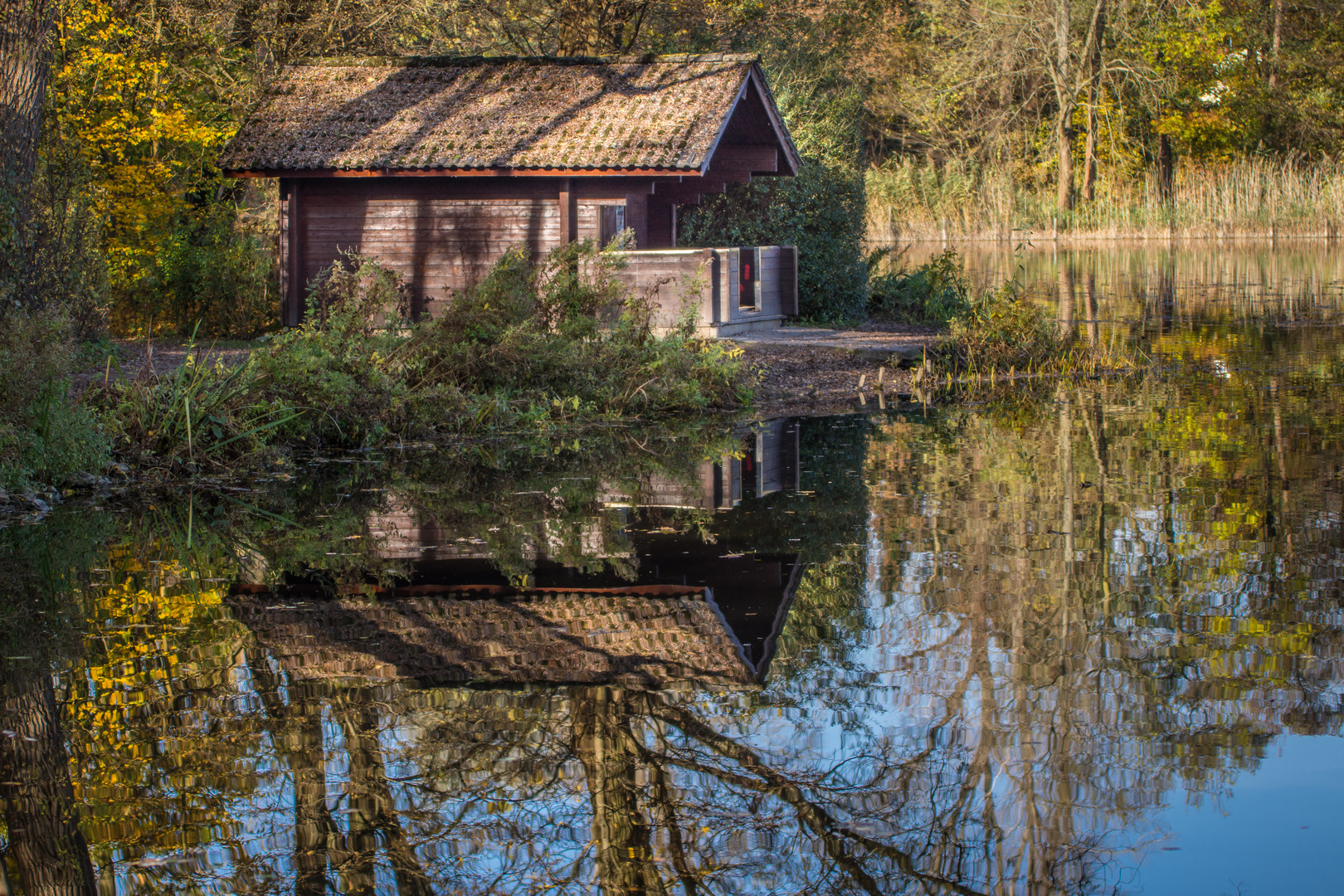 Annateich I Hannover Foto & Bild landschaft, bach, fluss & see, see