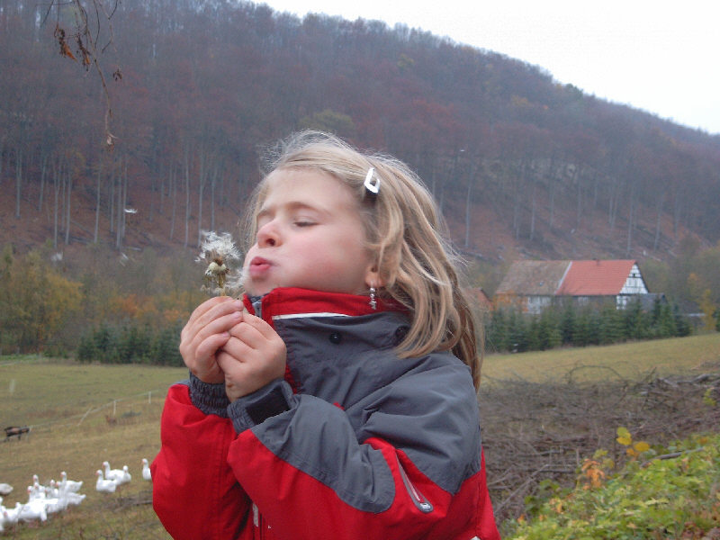 Anne entfacht den Herbststurm