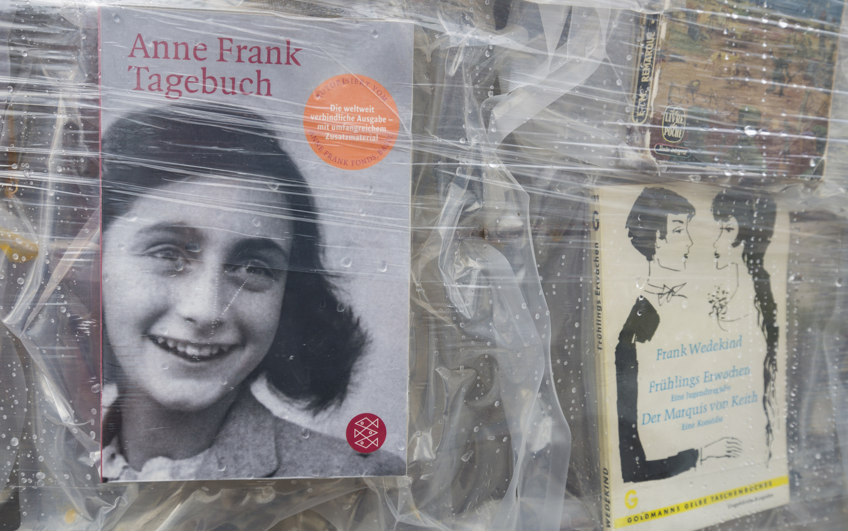 Anne Frank- Verboten zu leben - verboten gelesen zu werden
