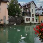 Annecy