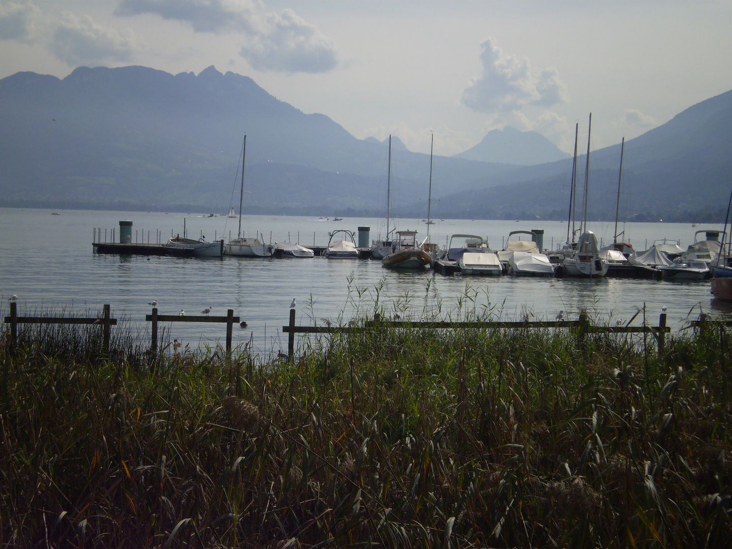 annecy(sur le lac)