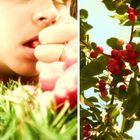 Années de cerises rouges met le rire sur les bouches.