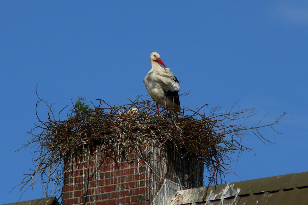 Annegret, da kommt Besuch ..........