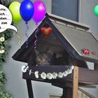 Annette hat Geburtstag