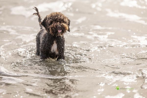 Anni ist und bleibt frech ;-)