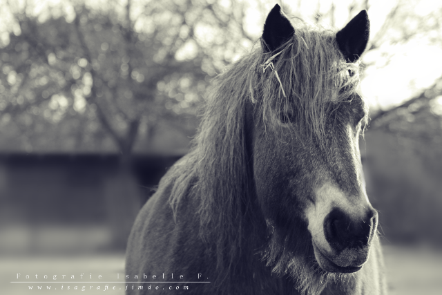 Anni und das Bokeh