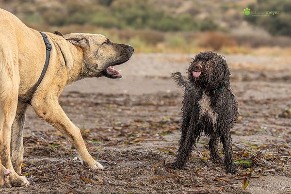 Annika ist sowas von frech