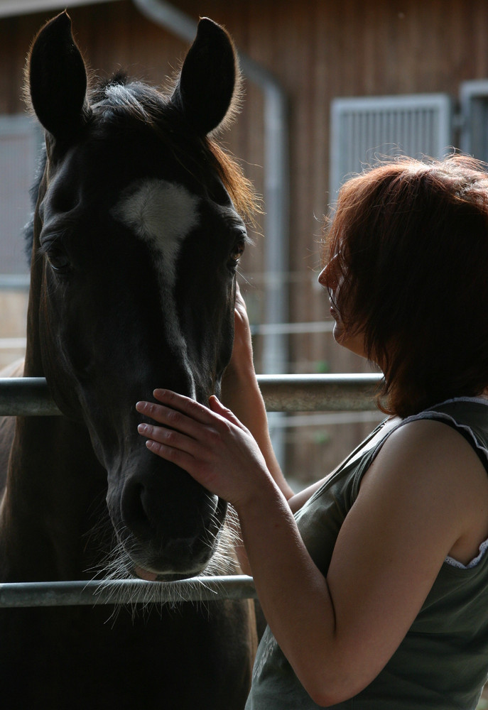 Annika und das Pferd