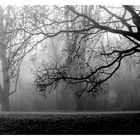 Anno dazumal - an einem nebligen Tage ....