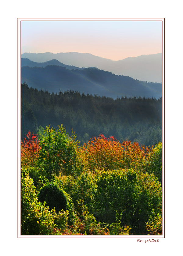 ...ANNUNCI AUTUNNALI...3