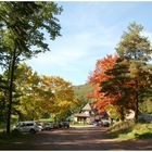 Annweiler Forsthaus im Herbst No.2