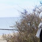Anny im Winter an der Ostsee