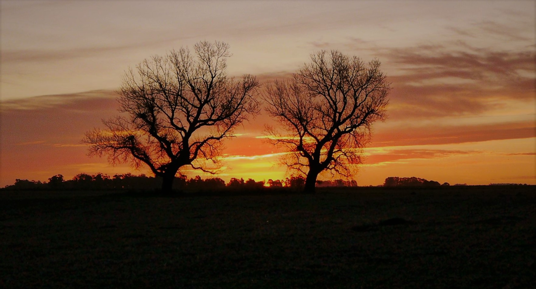 ANOCHECE EN EL CAMPO