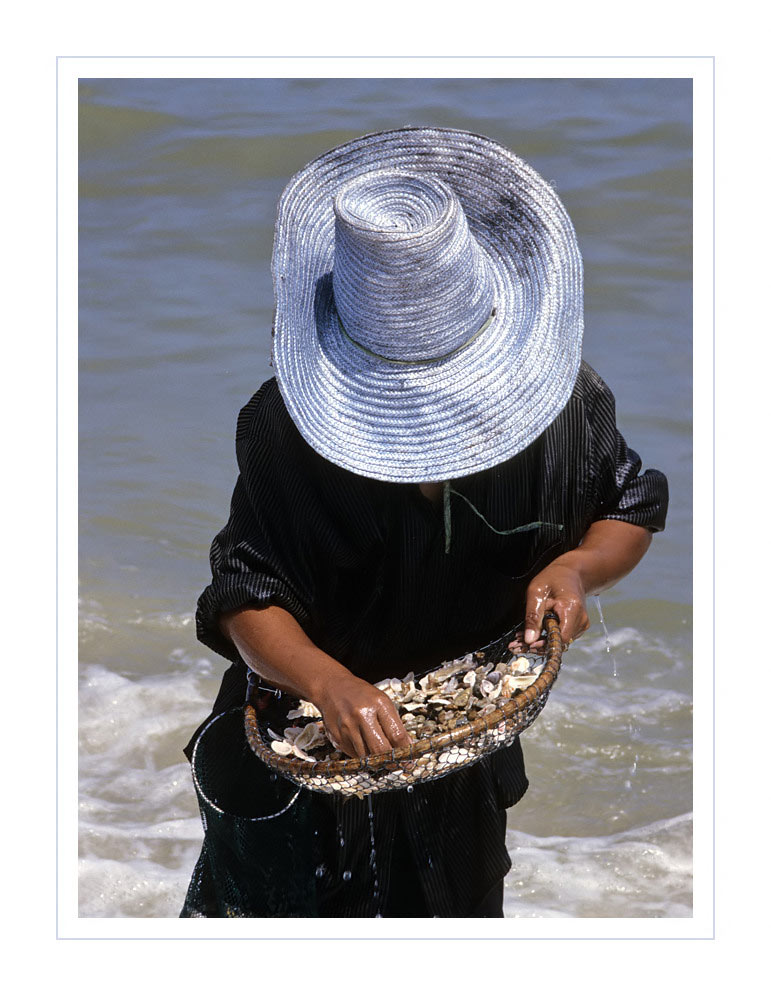 anonyme(r) Muschelsucher(in)