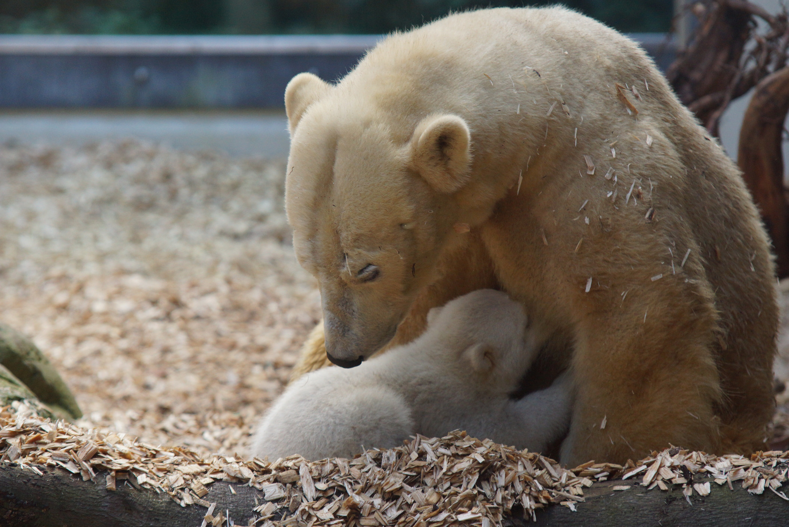 Anori und Mama