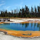 Another awesome pool in the Yellowstone N.P.