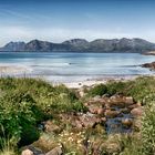 Another beautiful beach of the the Lofotenislands