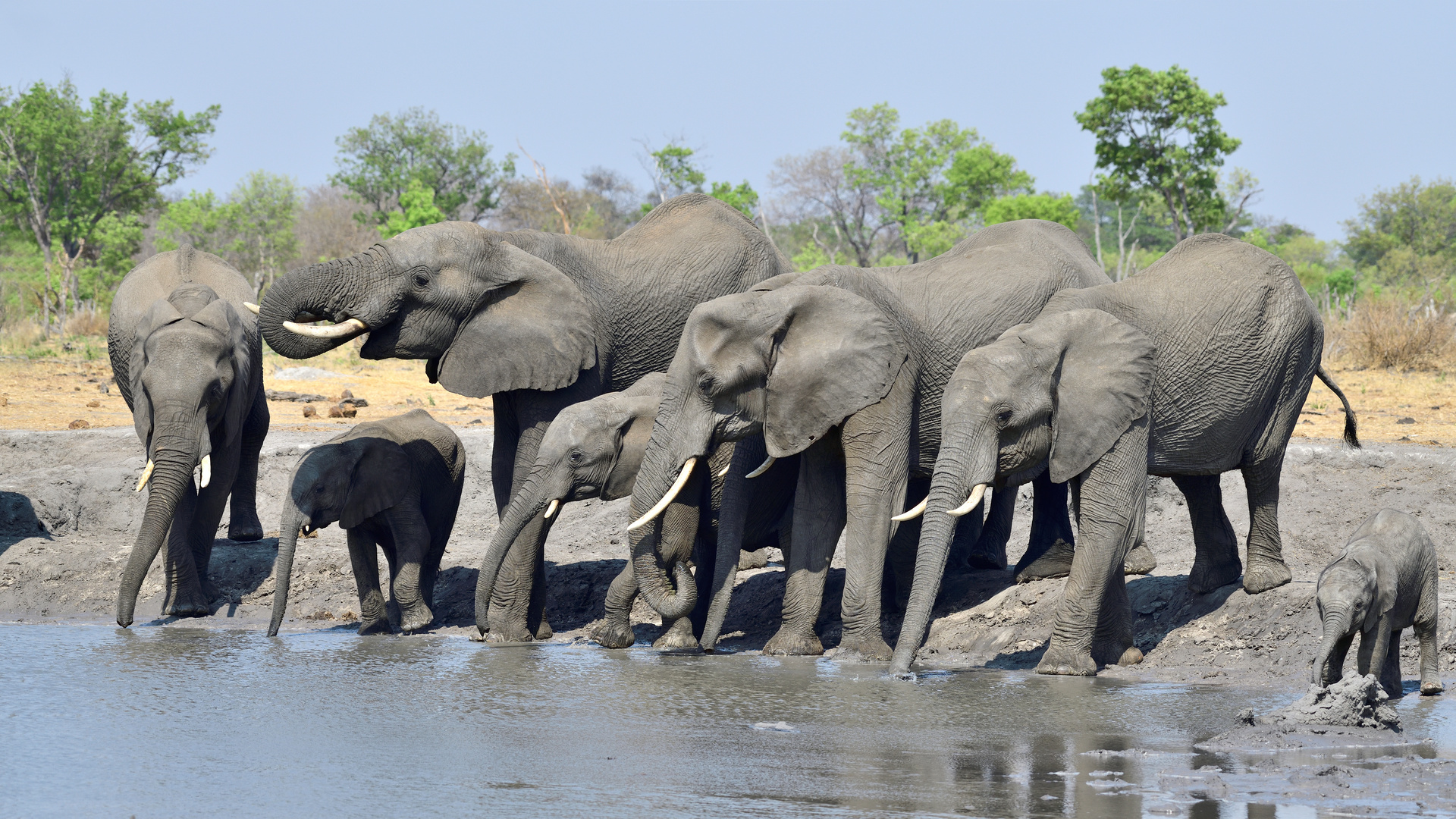 Another day, another waterhole