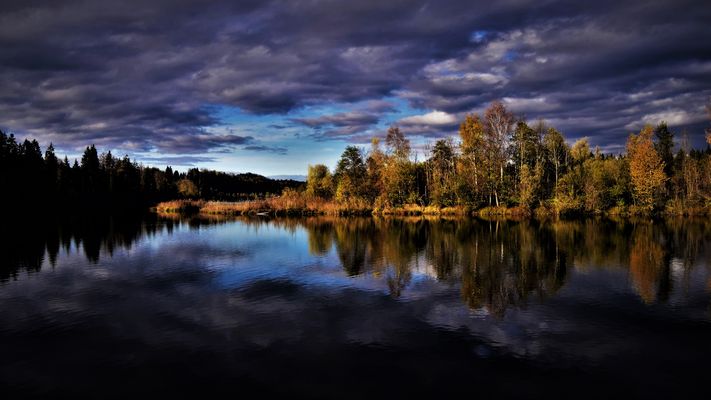 Another Day in Paradise 18