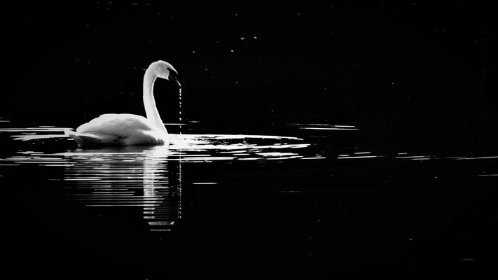 Another Day in Paradise 6