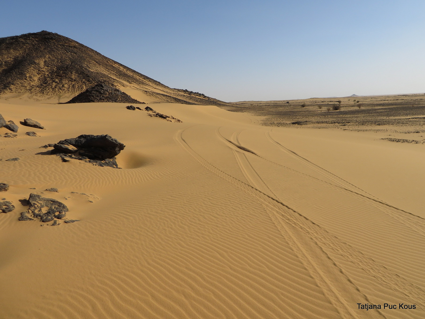 Another face of sudan desert