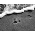 another footprint leaving the world