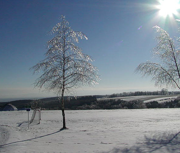 another ice-tree