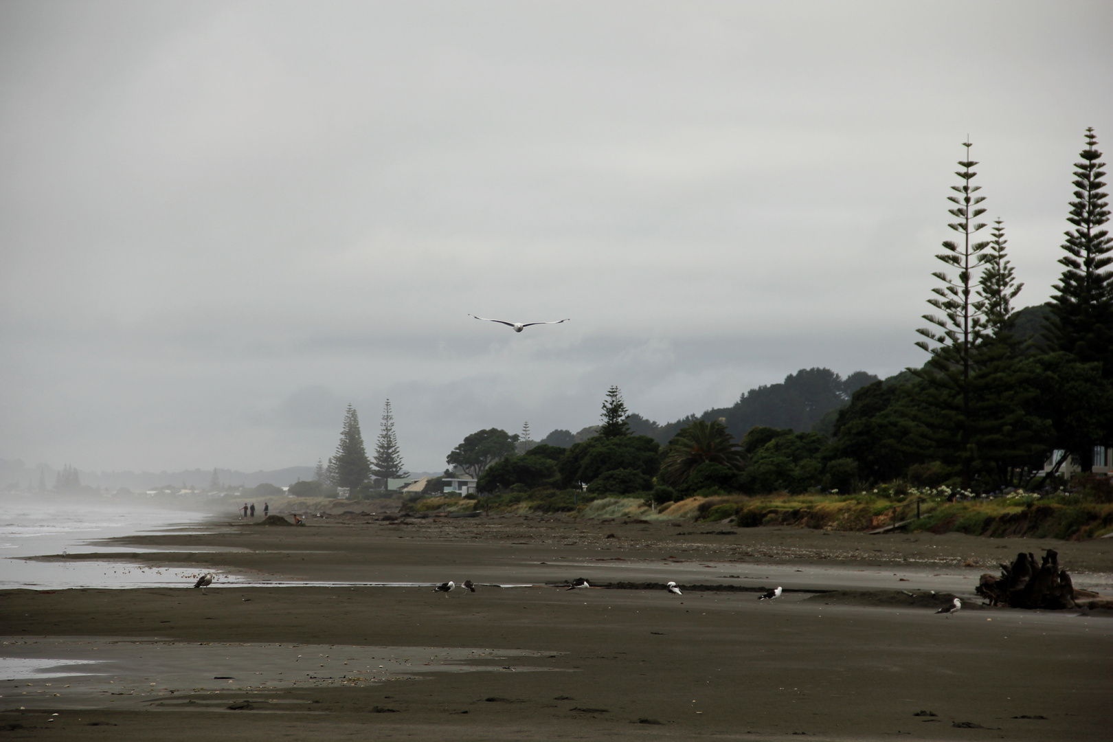 another lonely beach