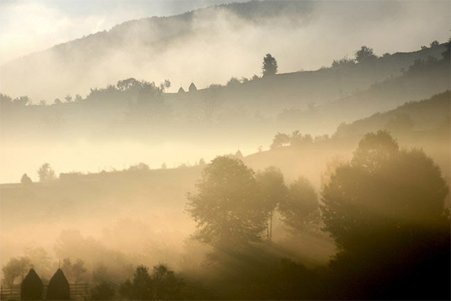 Another morning fog