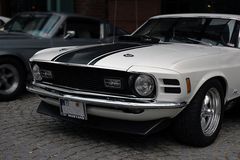 Another Mustang