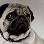 Another PuG