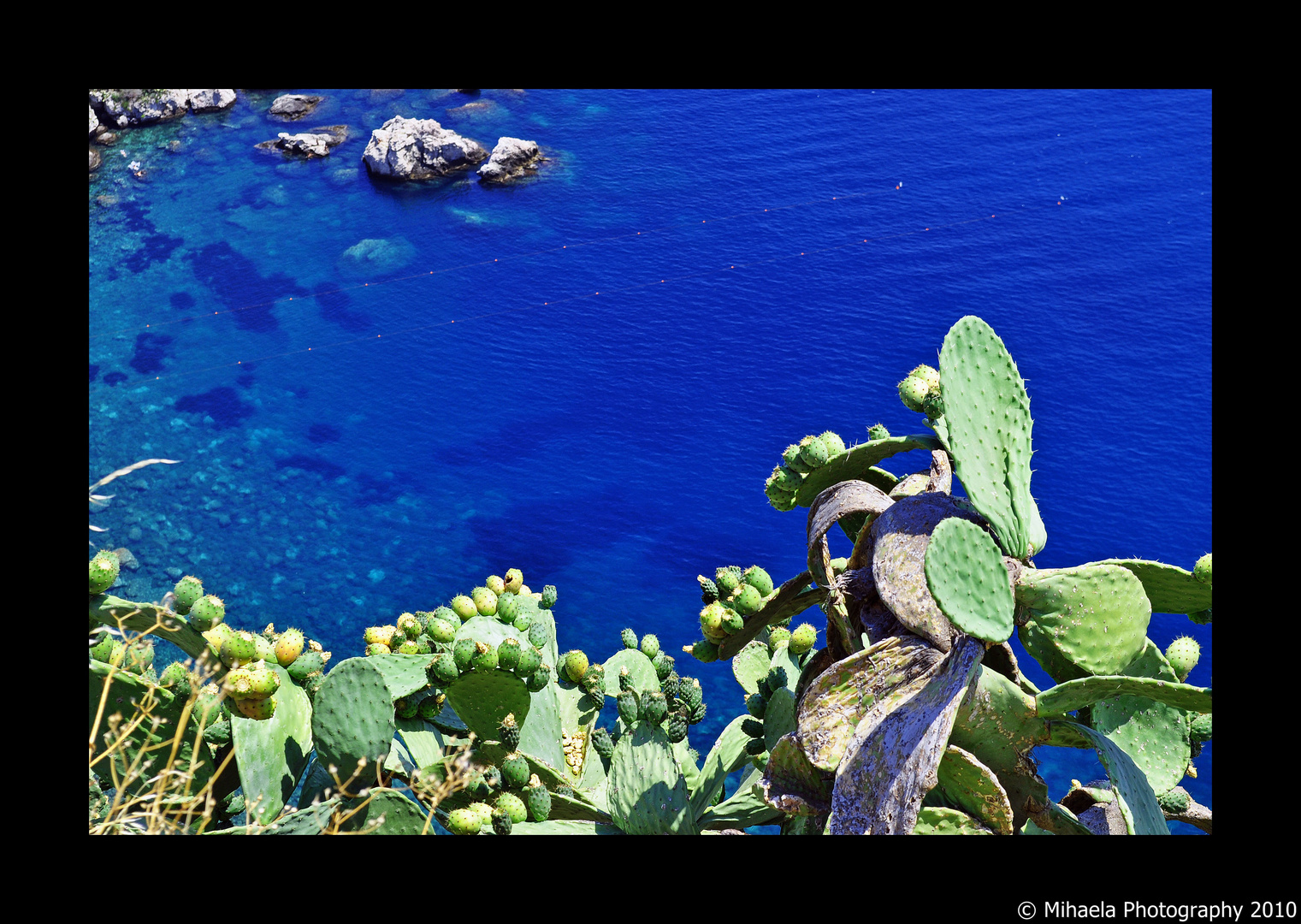 Another symbol of Sicily