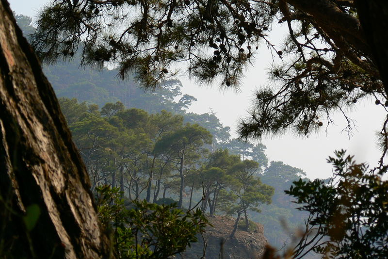 Another view from Kabak - Faralya