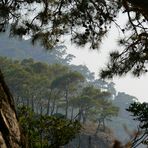 Another view from Kabak - Faralya