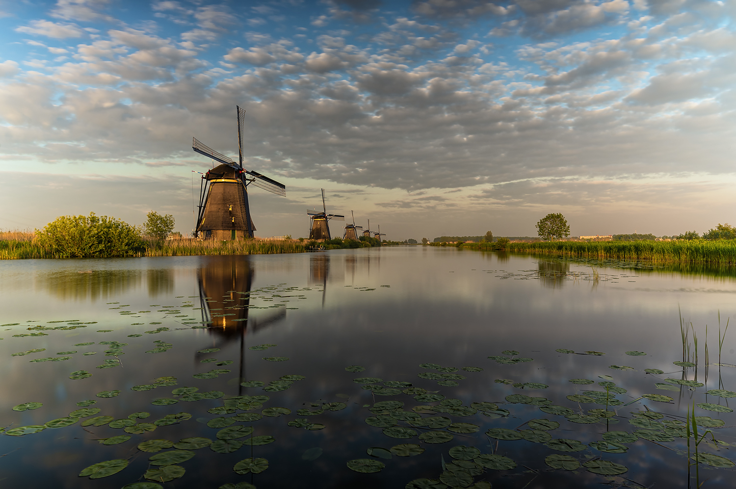 another view from kinderdijk