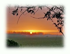 another winter sunrise seen from our garden (23rd December in west Zeeuws-Vlaandern)