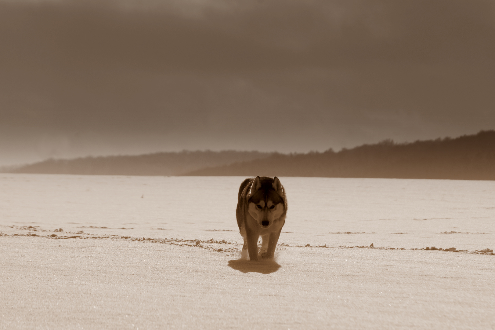 anpirschen im Schnee