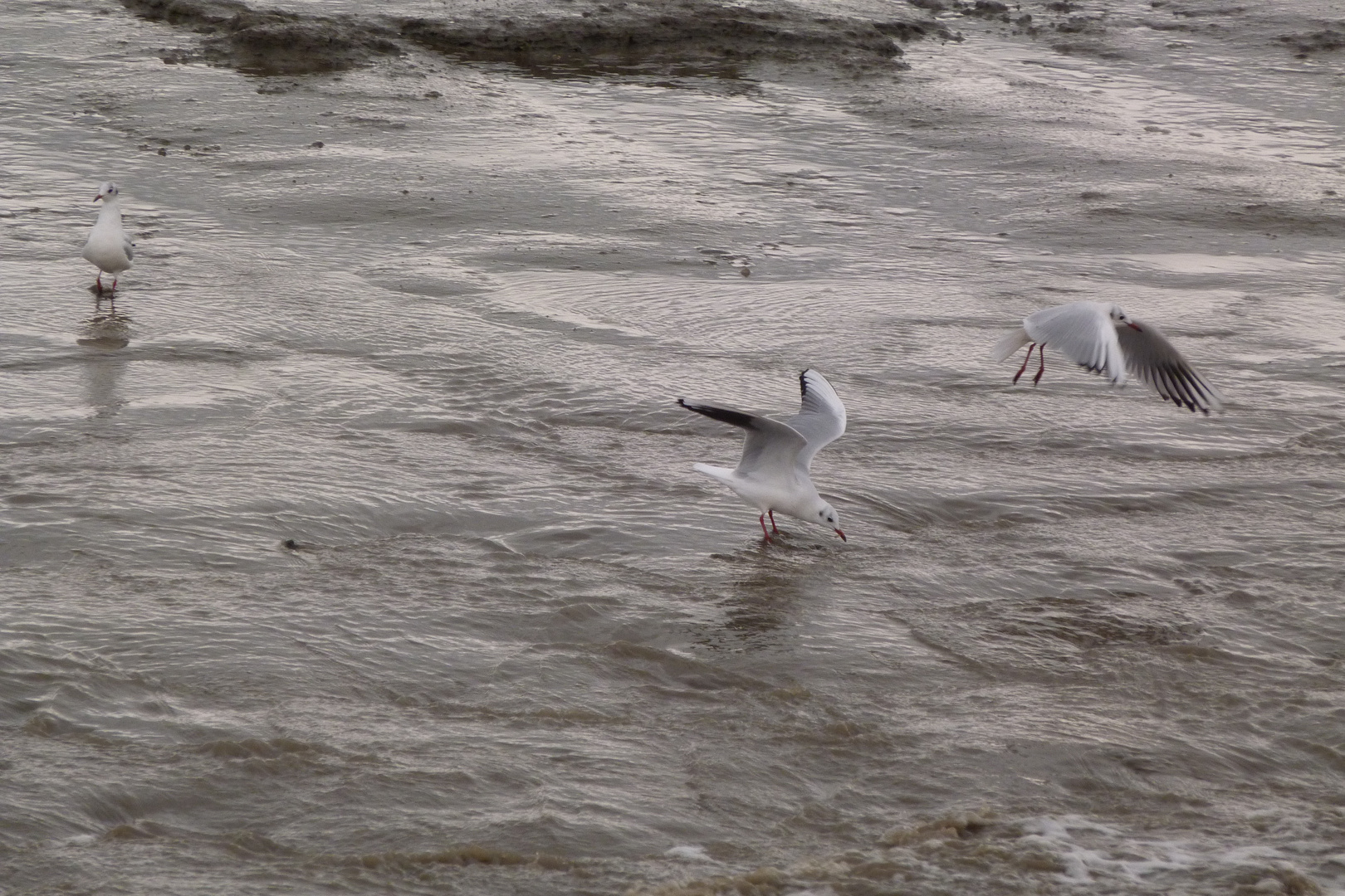 Anreise und Futtern