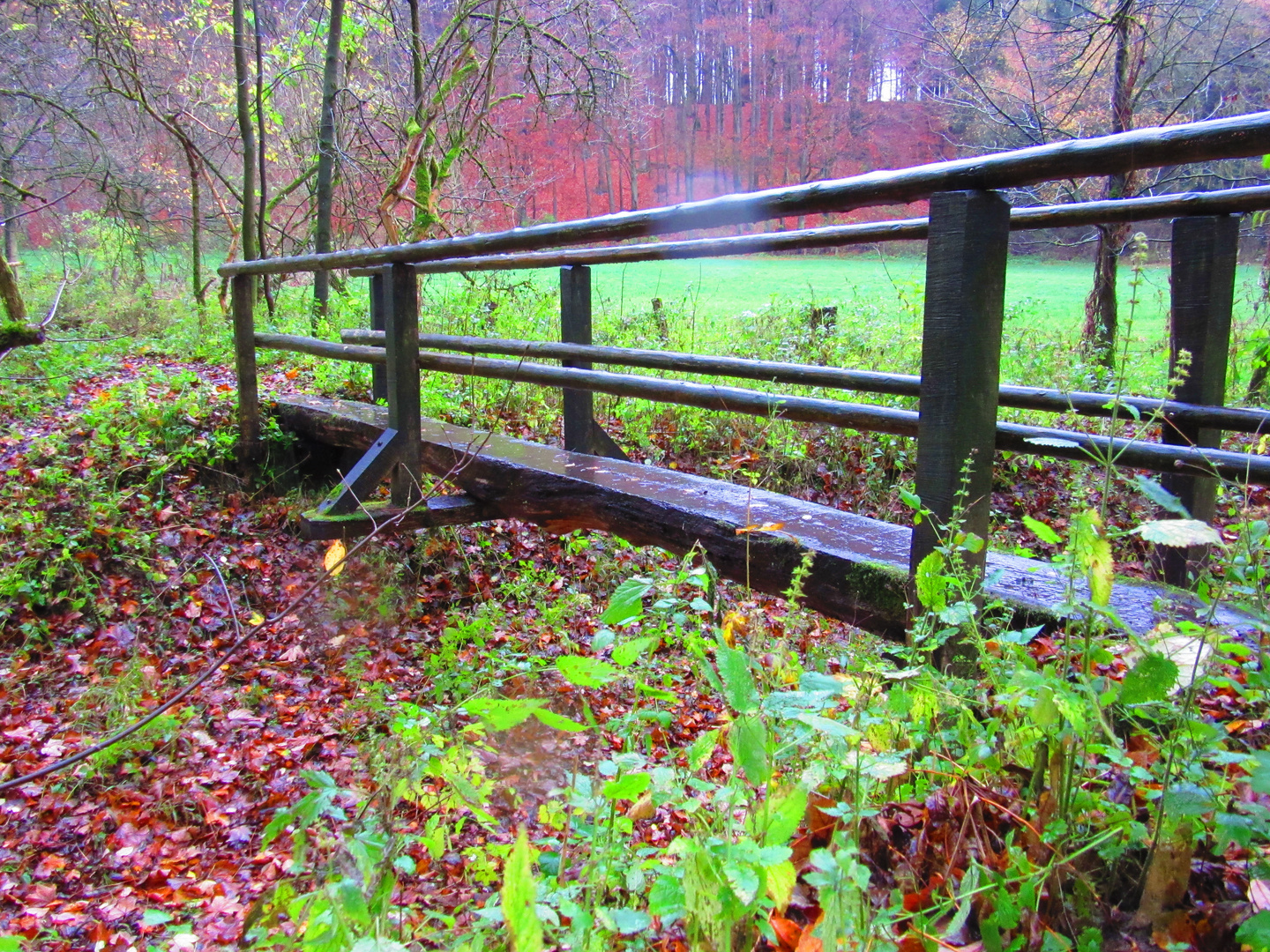 Anröchter Wald