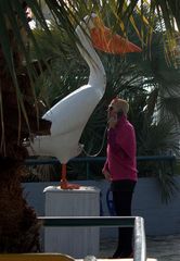 Anruf beim...das ist doch kein Storch...