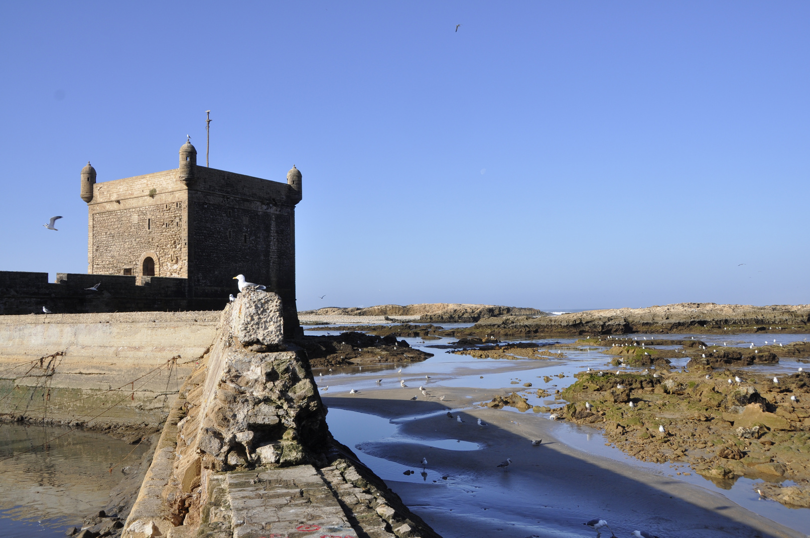 Ans Herz gewachsen- Essaouira