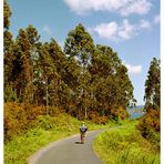 Ans Meer! (Camino de Finisterre, 5)