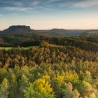 Ansätze vom Herbst