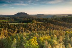 Ansätze vom Herbst