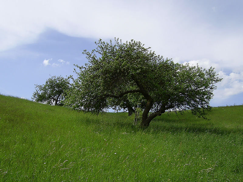 Ansbach - Colmberg 2006