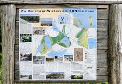 Anschauungstafel Goitzsche Wildnis 