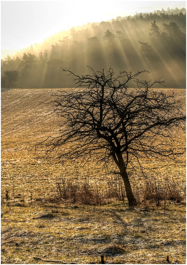 Anschauungsunterricht